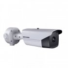 IP Камера Hikvision  DS-2TD2136-10/V1