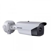 IP Камера Hikvision  DS-2TD2136-10/V1