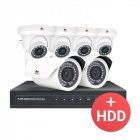 IP комплект видеонаблюдения Partizan PRO IP-10 6xCAM + 1xNVR + HDD
