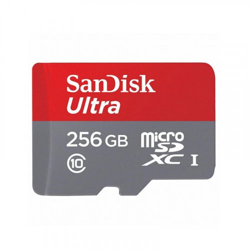 Карта пам'яті SanDisk MicroSD 256Gb