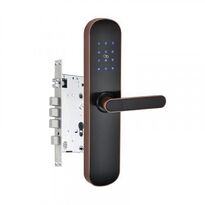 Электронный замок TTLOCK-LEO