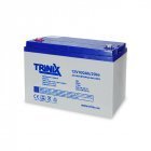 АКБ Trinix TGL12V100Ah/20Hr GEL