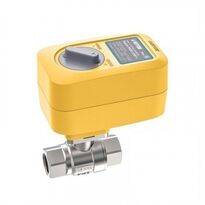 Кран с электроприводом Neptun PROFI 220В 1/2"