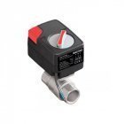 Кран із електроприводом Mastino 220В 3/4"