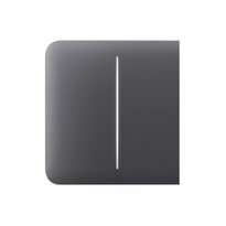 Бічна кнопка для двоклавішного вимикача Ajax SideButton (2-gang) graphite