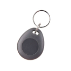 Брелок с защитой от копирования SEVEN R-7456P