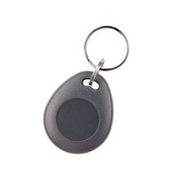 Брелок с защитой от копирования SEVEN R-7456P
