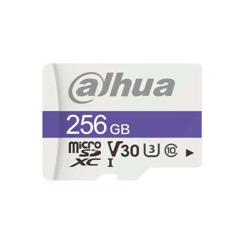 Карта пам'яті microSD Dahua DHI-TF-C100/256GB
