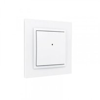iNELS RFWB-20/G