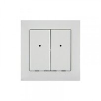 iNELS RFWB-40/G