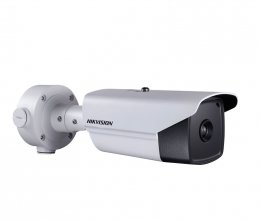 IP Камера Hikvision DS-2TD2136-10
