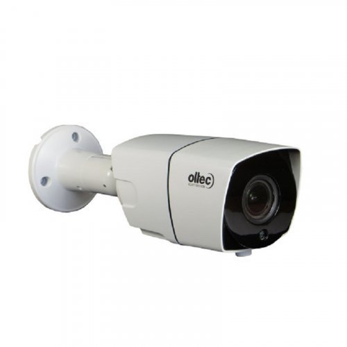 IP Камера Oltec IPC-420VF