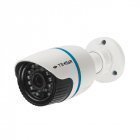 IP Камера Tecsar IPW-M20-F20-poe