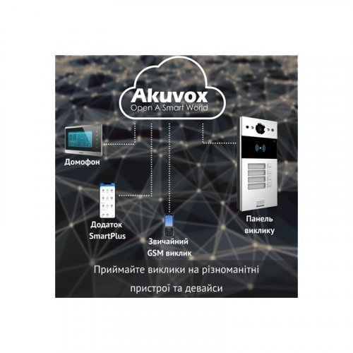 Вызывная панель Akuvox R20B X4 OW 2Мп