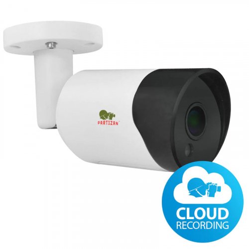 IP Камера видеонаблюдения Partizan IPO-2SP SE 4.6 Cloud