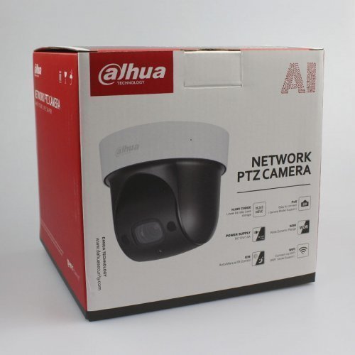 PTZ IP Камера с микрофоном 2Мп Dahua DH-SD29204UE-GN